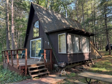 Lake Home For Sale in Irons, Michigan