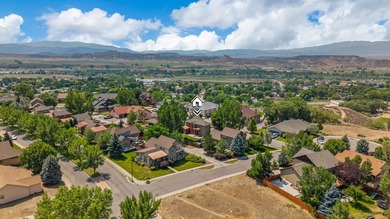 Welcome to your dream home in the highly sought-after Stoney - photo 32