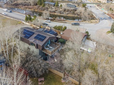 Beautiful historic 4-bedroom home in the heart of Old Town Eagle - photo 42