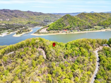 2.99 Acre Dockable Cherokee Lakefront Lot in Gated Community - photo 10