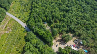 Lake Acreage For Sale in Swanville, Maine