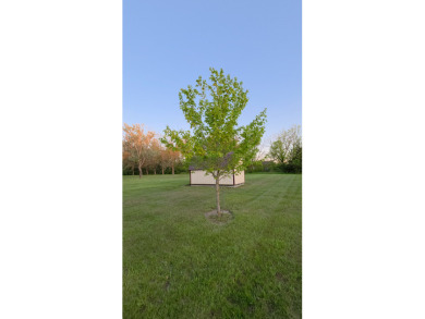 Two Lots For Sale at Lake Thunderhead in Unionville, MO - photo 15