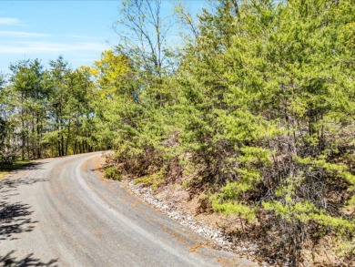 2.99 Acre Dockable Cherokee Lakefront Lot in Gated Community - photo 8