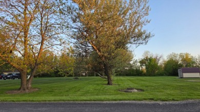 Two Lots For Sale at Lake Thunderhead in Unionville, MO - photo 5