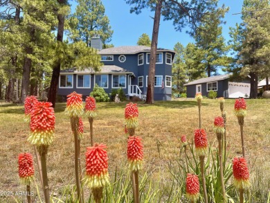 Mormon Lake Home For Sale in Mormon Lake Arizona