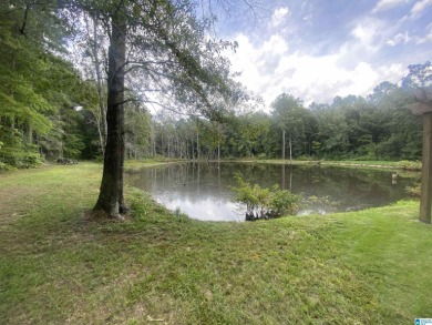 (private lake, pond, creek) Acreage For Sale in Ashville Alabama