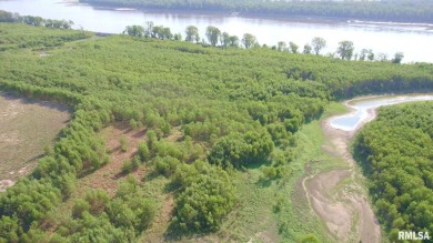 Lake Acreage For Sale in Miller City, Illinois