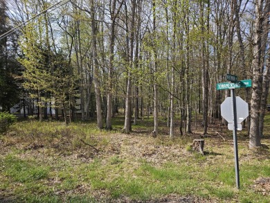 Lake Lot For Sale in Albrightsville, Pennsylvania