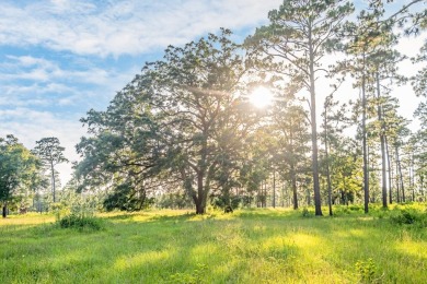 This tract offers an extraordinary opportunity to own 635+/- - photo 5