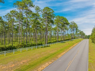This tract offers an extraordinary opportunity to own 635+/- - photo 6