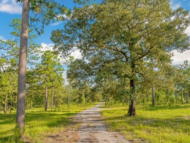 This tract offers an extraordinary opportunity to own 635+/- - photo 9