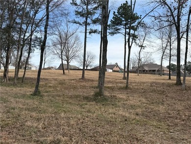 Lake Dardanelle Lot For Sale in Russellville Arkansas