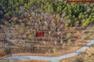 Lake Acreage For Sale in Talking Rock, Georgia
