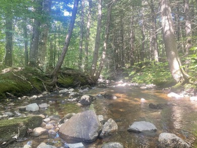 Lake Acreage For Sale in Eaton, New Hampshire