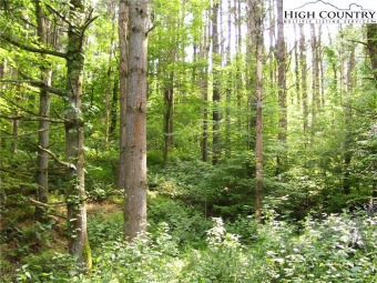 Lake Ashe Lot For Sale in West Jefferson North Carolina