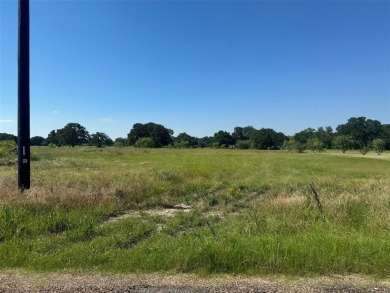 Cedar Creek Lake Lot For Sale in Kemp Texas