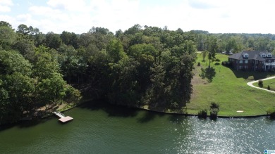 Lake Lot For Sale in Wedowee, Alabama