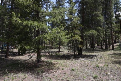Turquoise Lake Lot For Sale in Leadville Colorado