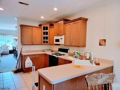 Lakeside Villas is a quiet 55+ community offering privacy and - photo 3