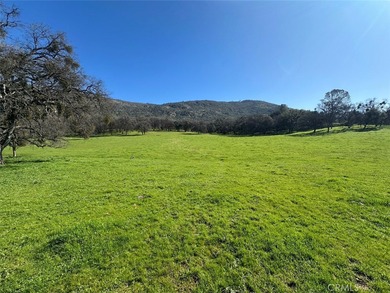 (private lake, pond, coastal) Acreage For Sale in Mariposa California
