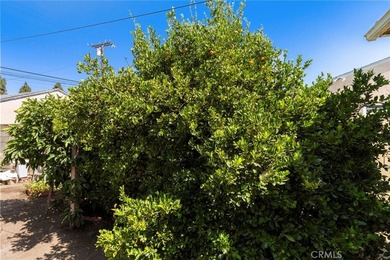 This charming 2-bedroom, 1-bathroom home offers an excellent - photo 24