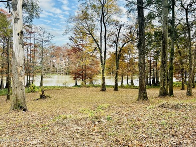 Lake Acreage For Sale in Itta Bena, Mississippi