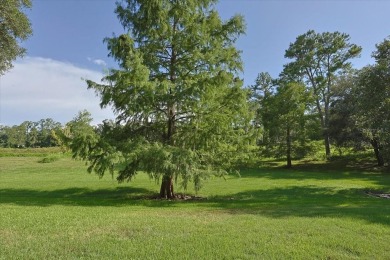 Largest single family attached home on the market. This 5 - photo 2