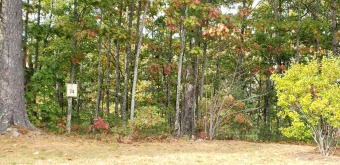 Lake Winnipesaukee Lot For Sale in Laconia New Hampshire