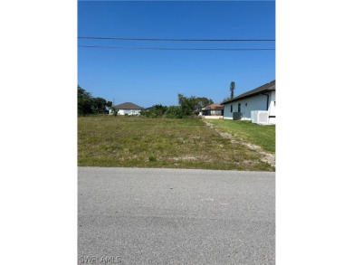 Waterfront residential lot located in northwest Cape Coral. HUGE - photo 3