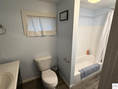 **Beautifully Updated Ranch Home in Warsaw, Missouri - Move-In - photo 14