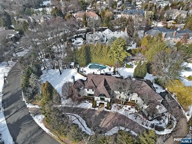 Perched high atop sought-after Tammy Brook Hills, this - photo 46