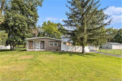 Lake Home For Sale in Grass Lake, Michigan