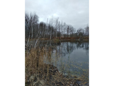 Lake Lot Sale Pending in Mancelona, Michigan