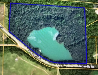 (private lake, pond, creek) Acreage For Sale in Bauxite Arkansas