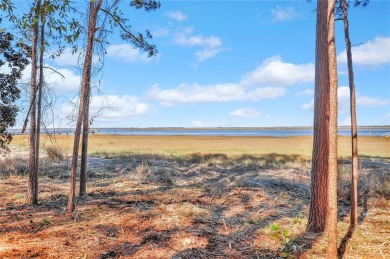 Lake Lot For Sale in Townsend, Georgia
