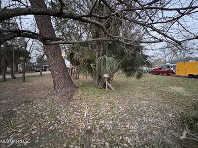 Welcome to 1115 DeSoto Street, a rare Downtown Ocean Springs - photo 1