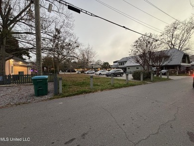 Welcome to 1115 DeSoto Street, a rare Downtown Ocean Springs - photo 3