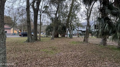Welcome to 1115 DeSoto Street, a rare Downtown Ocean Springs - photo 4