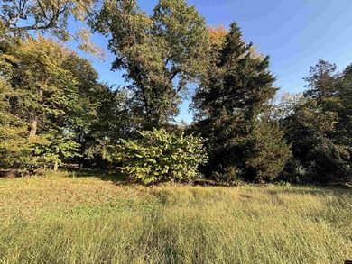 White River Lot For Sale in Cotter Arkansas