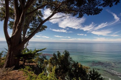 This oceanside sanctuary is set on a private forested promontory - photo 21