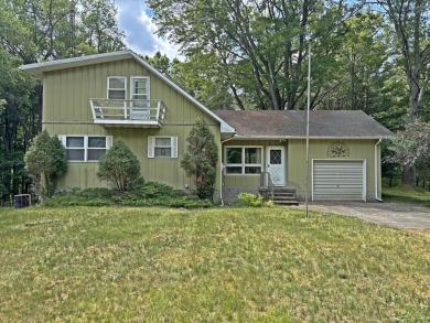 Lake Home For Sale in Stanwood, Michigan