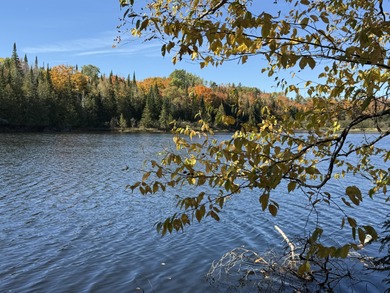 (private lake, pond, creek) Acreage For Sale in Littleton Maine