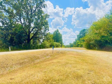 (private lake, pond, creek) Home For Sale in Norfork Arkansas