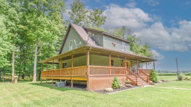 Lake Home For Sale in Union City, Michigan