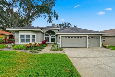 Jerry Lake  Home For Sale in Dunedin Florida