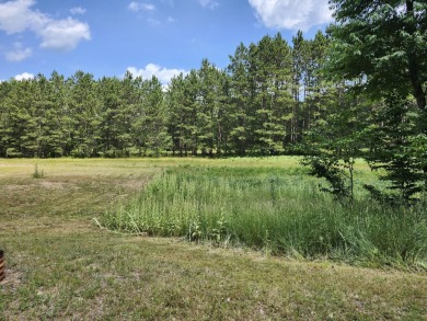 Lake Lot For Sale in Custer, Michigan