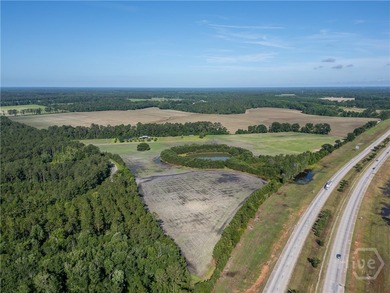 Prime Development Opportunity - 55 Cleared Acres Near I-16 - photo 2