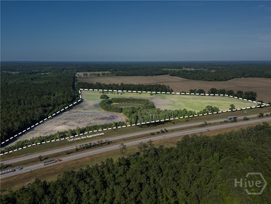 Prime Development Opportunity - 55 Cleared Acres Near I-16 - photo 3