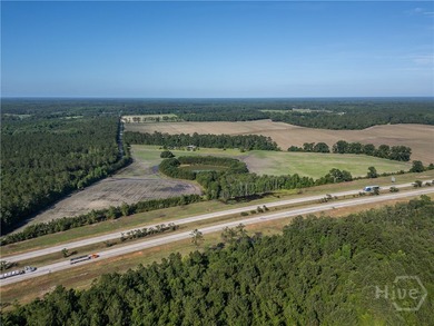 Prime Development Opportunity - 55 Cleared Acres Near I-16 - photo 4
