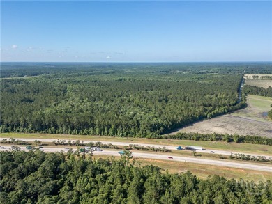 Prime Development Opportunity - 55 Cleared Acres Near I-16 - photo 5